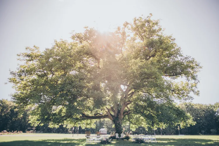 Salon Principal - Vue principale